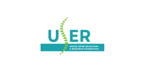 The Qi Studio - Digital Marketing Agency