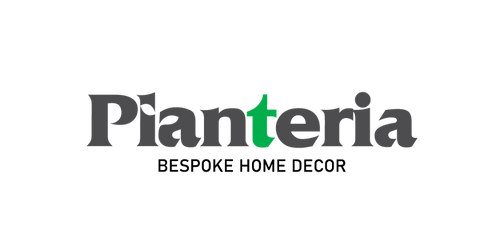 The Qi Studio - Digital Marketing Agency